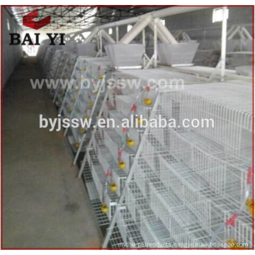 Commercial Quail Battery Cages For Cheap Sale